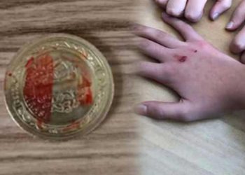 Büyük hasarlara yol açıyor! Okullardaki yeni tehlike: Kanlı para oyunu