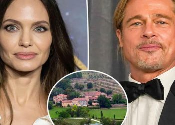Yılan hikayesine dönen Miraval Şatosu davasında Brad Pitt Jolie’nin mesajlarını ifşa etti!