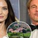Yılan hikayesine dönen Miraval Şatosu davasında Brad Pitt Jolie’nin mesajlarını ifşa etti!
